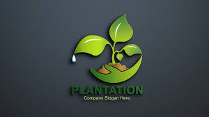 Eco Plantation Agriculture Logo Design ...